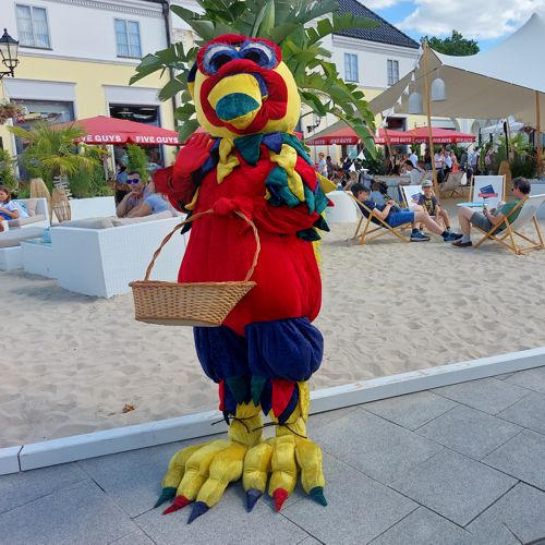 Kiki, der Spaßvogel