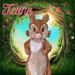 Hase Feline